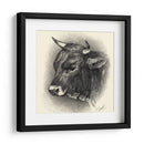 Ganado Antiguo Iv - Illuminations | Cuadro decorativo de Canvas Lab