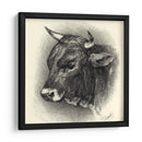 Ganado Antiguo Iv - Illuminations | Cuadro decorativo de Canvas Lab