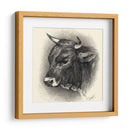 Ganado Antiguo Iv - Illuminations | Cuadro decorativo de Canvas Lab