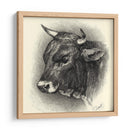 Ganado Antiguo Iv - Illuminations | Cuadro decorativo de Canvas Lab