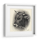 Ganado Antiguo Iv - Illuminations | Cuadro decorativo de Canvas Lab