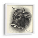 Ganado Antiguo Iv - Illuminations | Cuadro decorativo de Canvas Lab