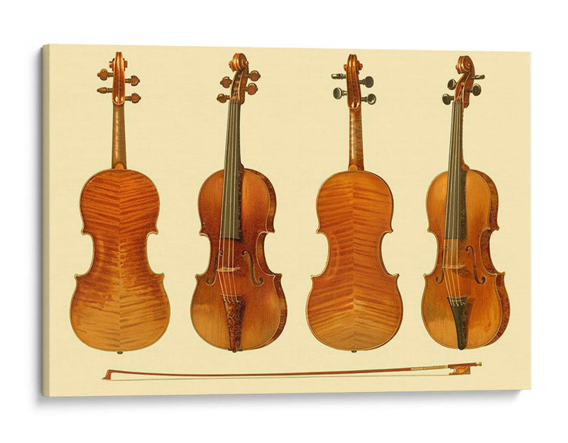 Violines Antiguos I - F. Lehnert | Cuadro decorativo de Canvas Lab