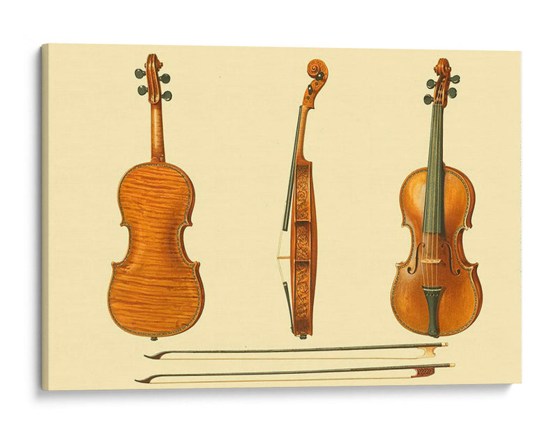 Violines Antiguos Ii - F. Lehnert | Cuadro decorativo de Canvas Lab