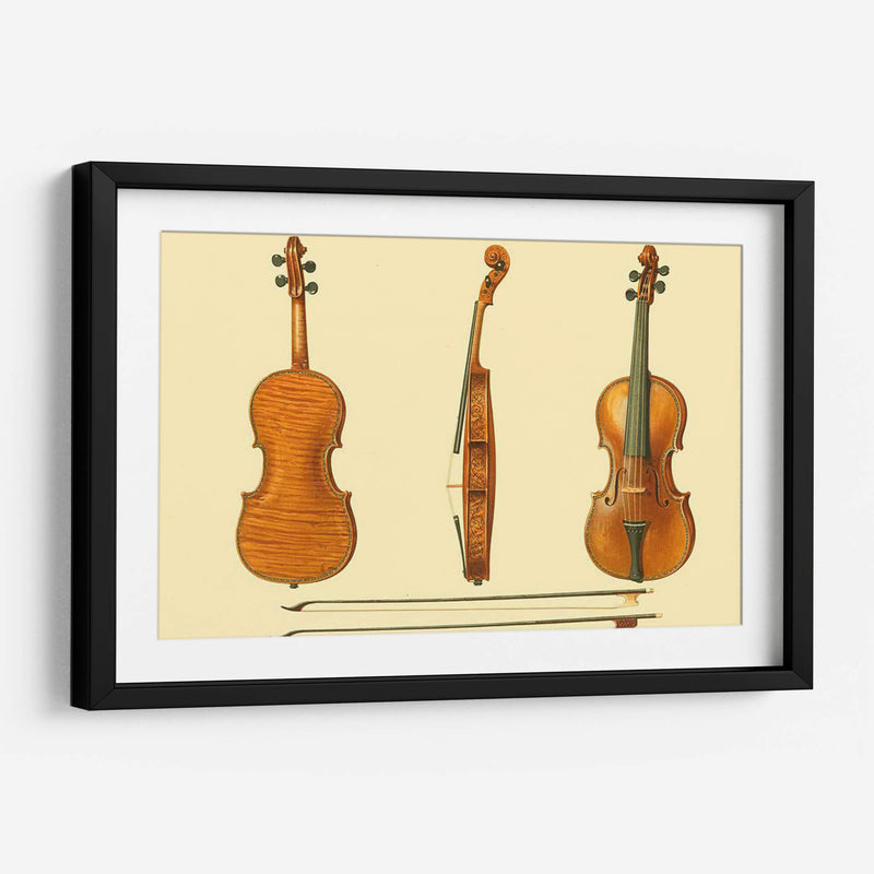 Violines Antiguos Ii - F. Lehnert | Cuadro decorativo de Canvas Lab