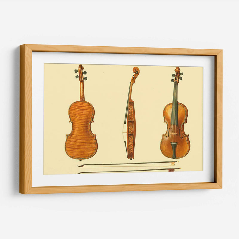 Violines Antiguos Ii - F. Lehnert | Cuadro decorativo de Canvas Lab