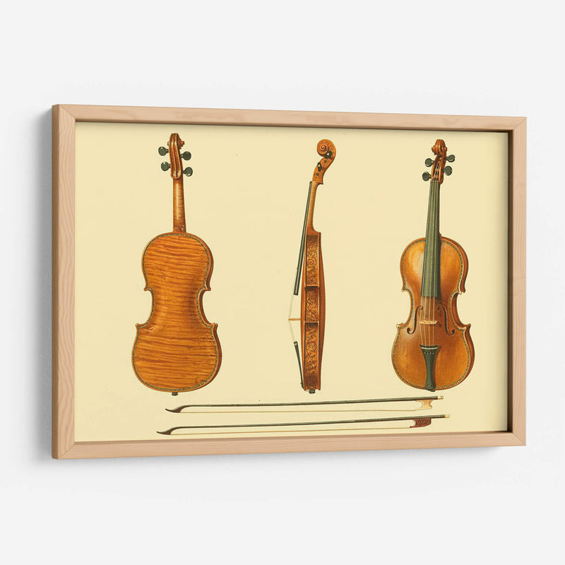 Violines Antiguos Ii - F. Lehnert | Cuadro decorativo de Canvas Lab