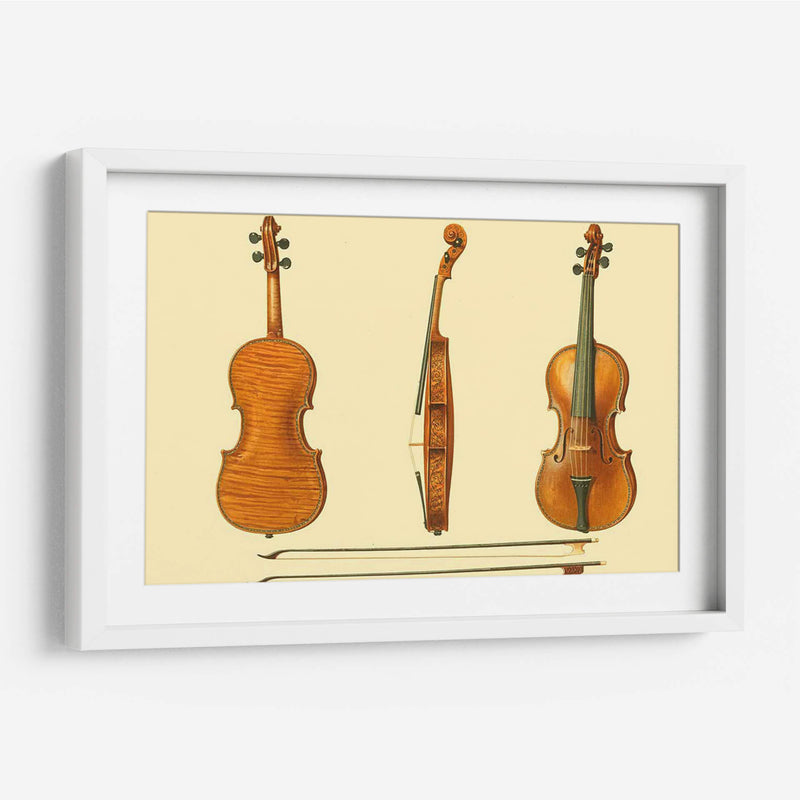 Violines Antiguos Ii - F. Lehnert | Cuadro decorativo de Canvas Lab