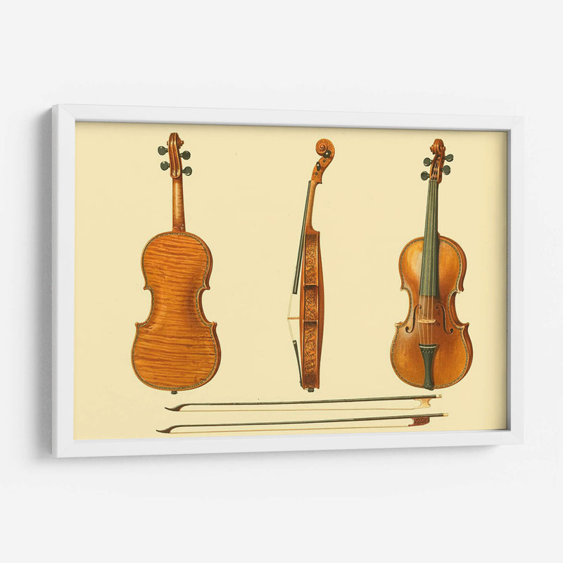 Violines Antiguos Ii - F. Lehnert | Cuadro decorativo de Canvas Lab