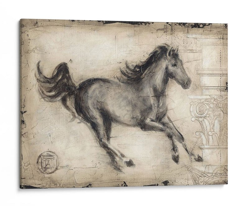 Caballo Romano I - Ethan Harper | Cuadro decorativo de Canvas Lab