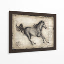 Caballo Romano I - Ethan Harper | Cuadro decorativo de Canvas Lab