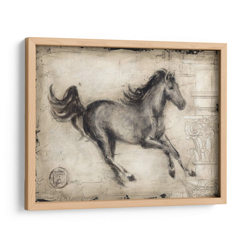 Caballo Romano I - Ethan Harper | Cuadro decorativo de Canvas Lab