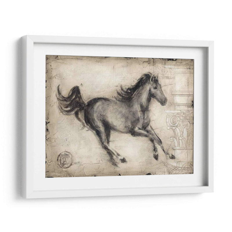 Caballo Romano I - Ethan Harper | Cuadro decorativo de Canvas Lab