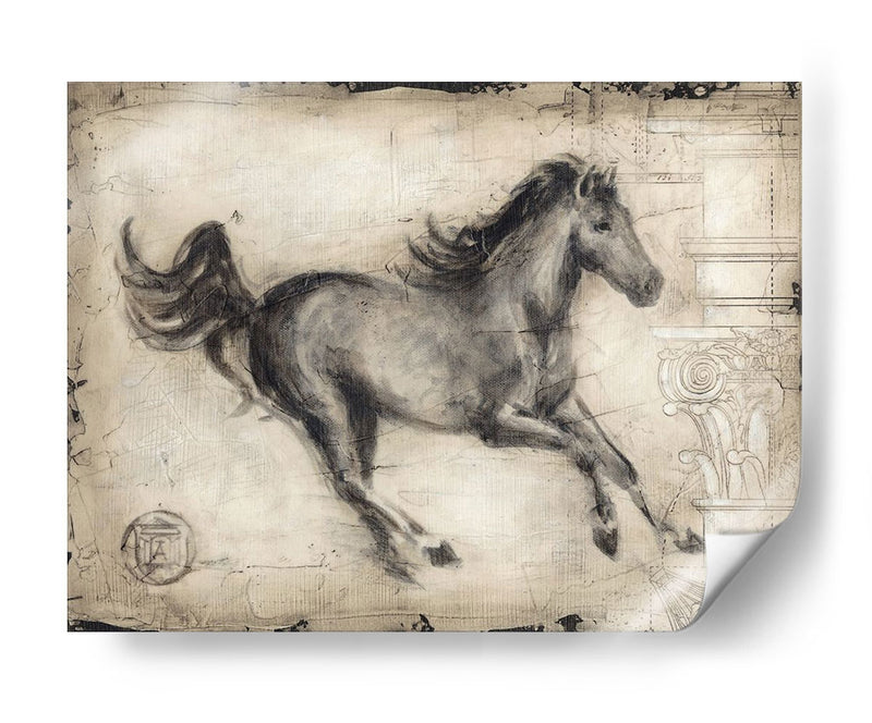 Caballo Romano I - Ethan Harper | Cuadro decorativo de Canvas Lab