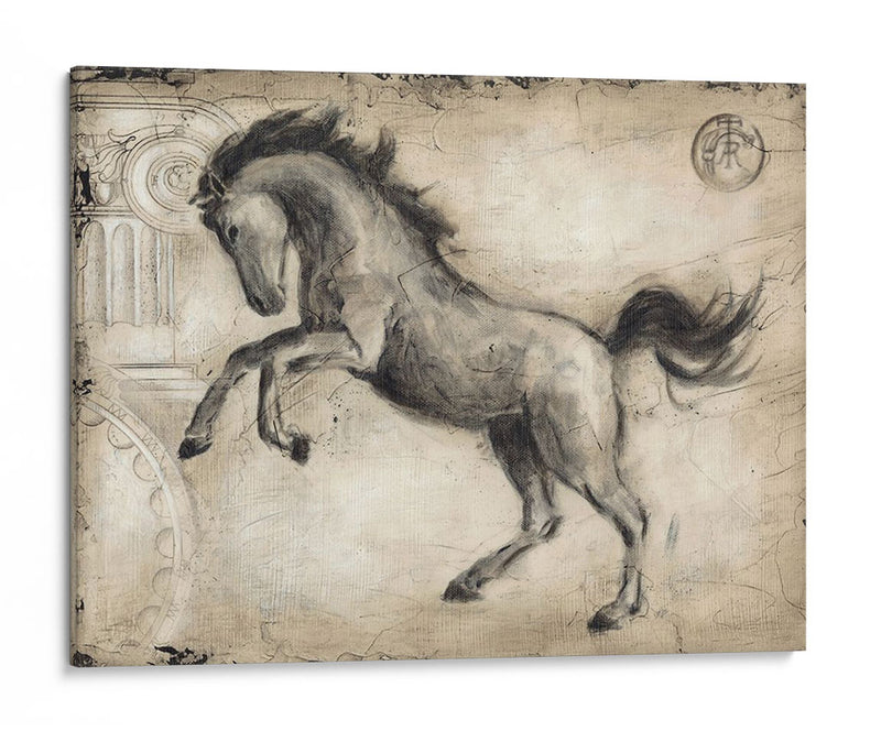 Caballo Romano Ii - Ethan Harper | Cuadro decorativo de Canvas Lab