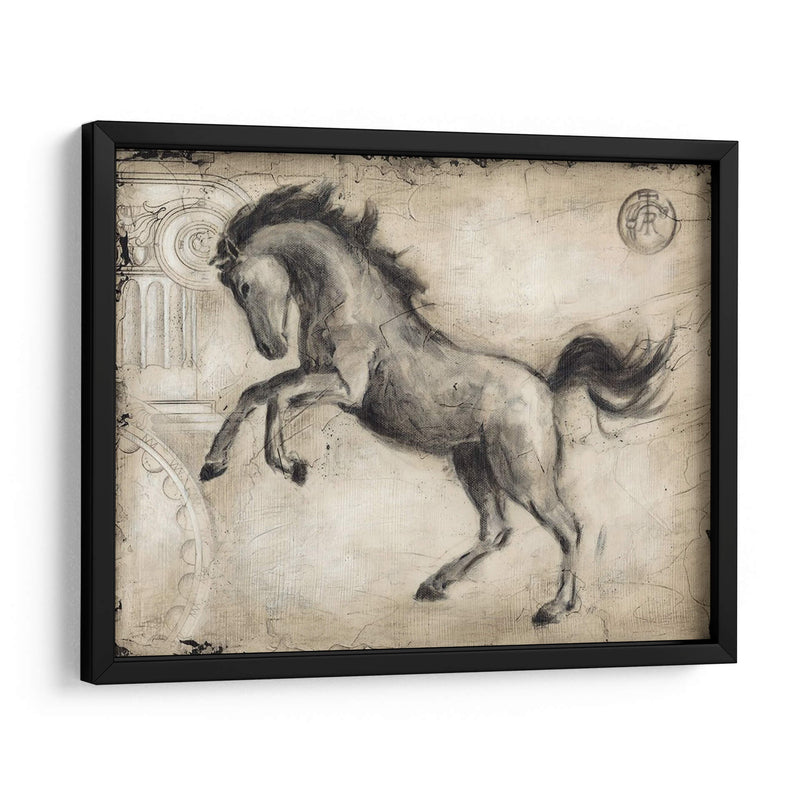 Caballo Romano Ii - Ethan Harper | Cuadro decorativo de Canvas Lab