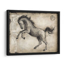 Caballo Romano Ii - Ethan Harper | Cuadro decorativo de Canvas Lab
