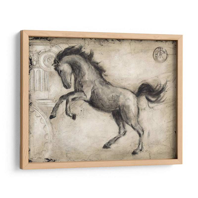 Caballo Romano Ii - Ethan Harper | Cuadro decorativo de Canvas Lab