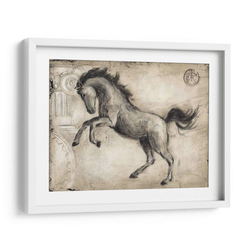 Caballo Romano Ii - Ethan Harper | Cuadro decorativo de Canvas Lab