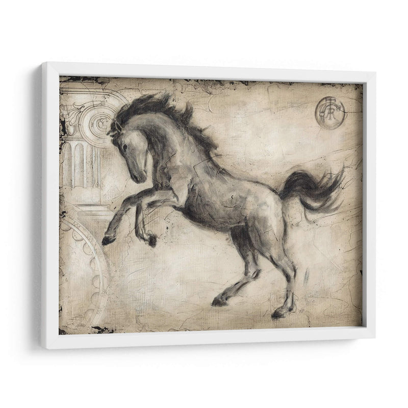 Caballo Romano Ii - Ethan Harper | Cuadro decorativo de Canvas Lab