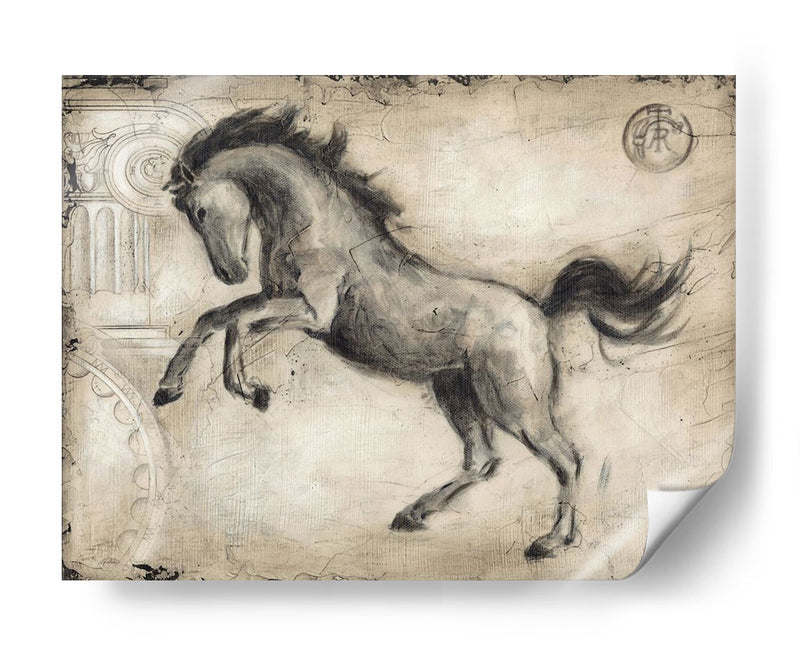 Caballo Romano Ii - Ethan Harper | Cuadro decorativo de Canvas Lab