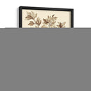 Sepia Muning Follaje I - Abraham Munting | Cuadro decorativo de Canvas Lab