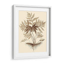 Sepia Muning Follage Iv - Abraham Munting | Cuadro decorativo de Canvas Lab
