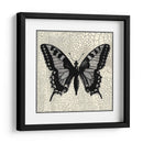 Mariposa Clásica I - Vision Studio | Cuadro decorativo de Canvas Lab