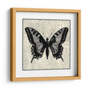 Mariposa Clásica I - Vision Studio | Cuadro decorativo de Canvas Lab