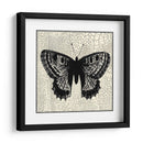 Mariposa Clásica Ii - Vision Studio | Cuadro decorativo de Canvas Lab