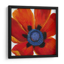 Primer Plano Ii - Tim OToole | Cuadro decorativo de Canvas Lab