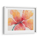 Hibisco Floreciente - Tim OToole | Cuadro decorativo de Canvas Lab