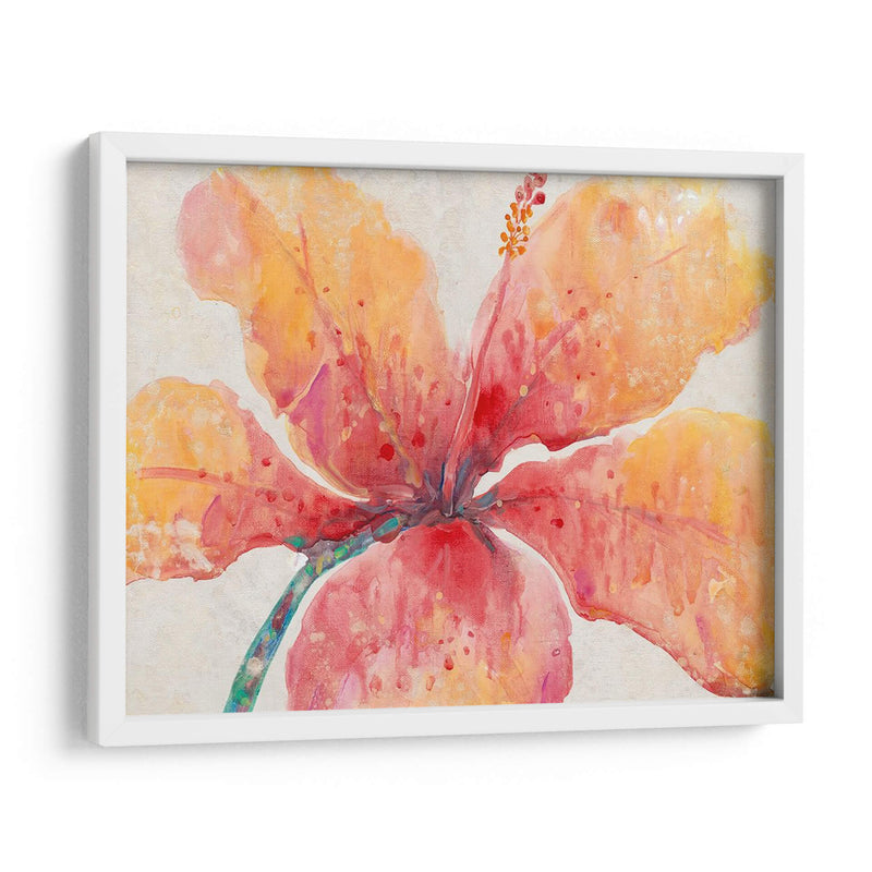 Hibisco Floreciente - Tim OToole | Cuadro decorativo de Canvas Lab