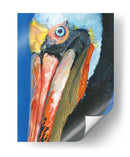 Pelican Vibrante I - Jennifer Paxton Parker | Cuadro decorativo de Canvas Lab