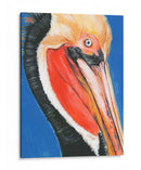 Pelican Vibrante Ii - Jennifer Paxton Parker | Cuadro decorativo de Canvas Lab