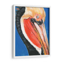 Pelican Vibrante Ii - Jennifer Paxton Parker | Cuadro decorativo de Canvas Lab
