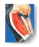 Pelican Vibrante Ii - Jennifer Paxton Parker | Cuadro decorativo de Canvas Lab