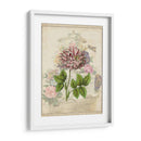 Bookplate De Rosa Vintage - Vision Studio | Cuadro decorativo de Canvas Lab