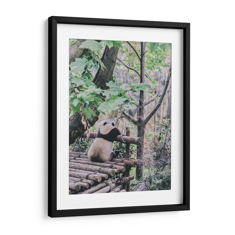 Un panda relajado | Cuadro decorativo de Canvas Lab
