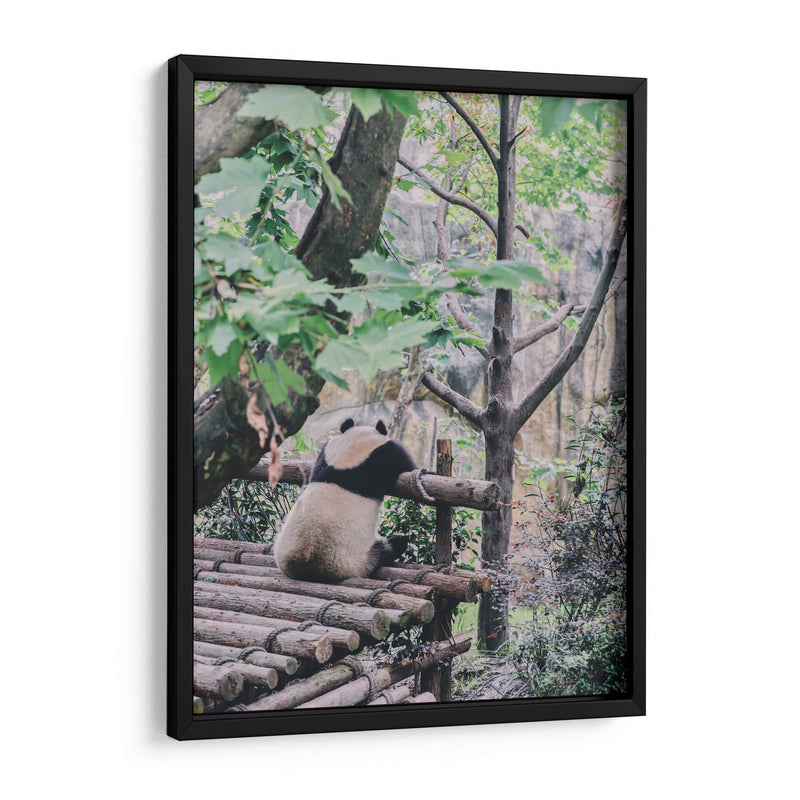 Un panda relajado | Cuadro decorativo de Canvas Lab