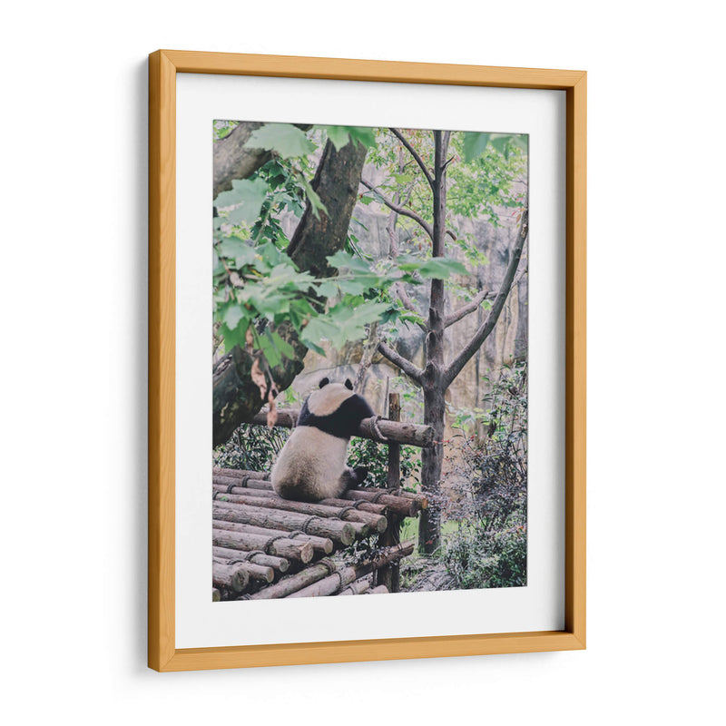 Un panda relajado | Cuadro decorativo de Canvas Lab