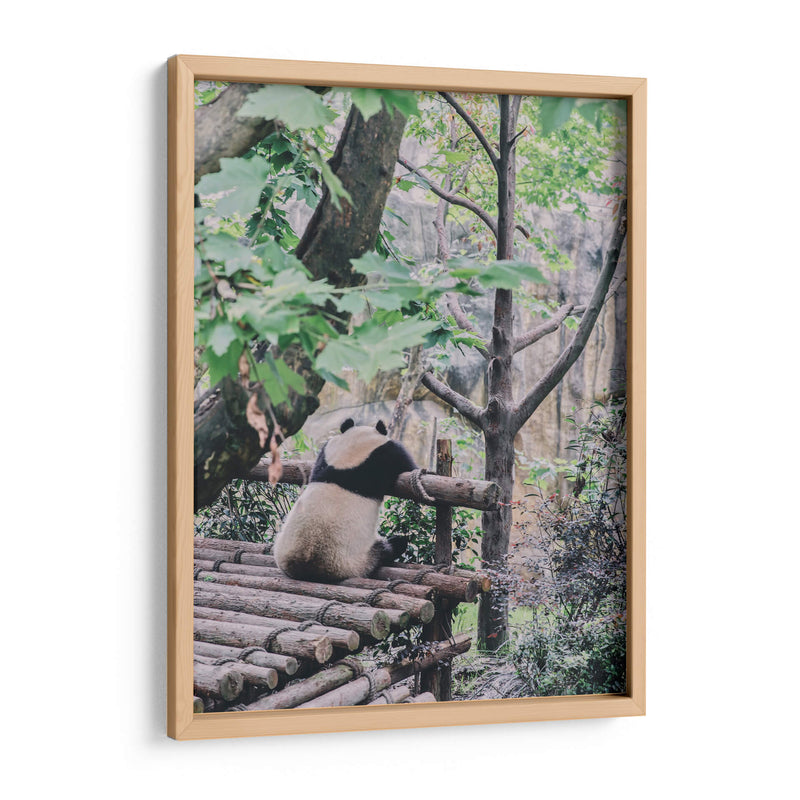 Un panda relajado | Cuadro decorativo de Canvas Lab