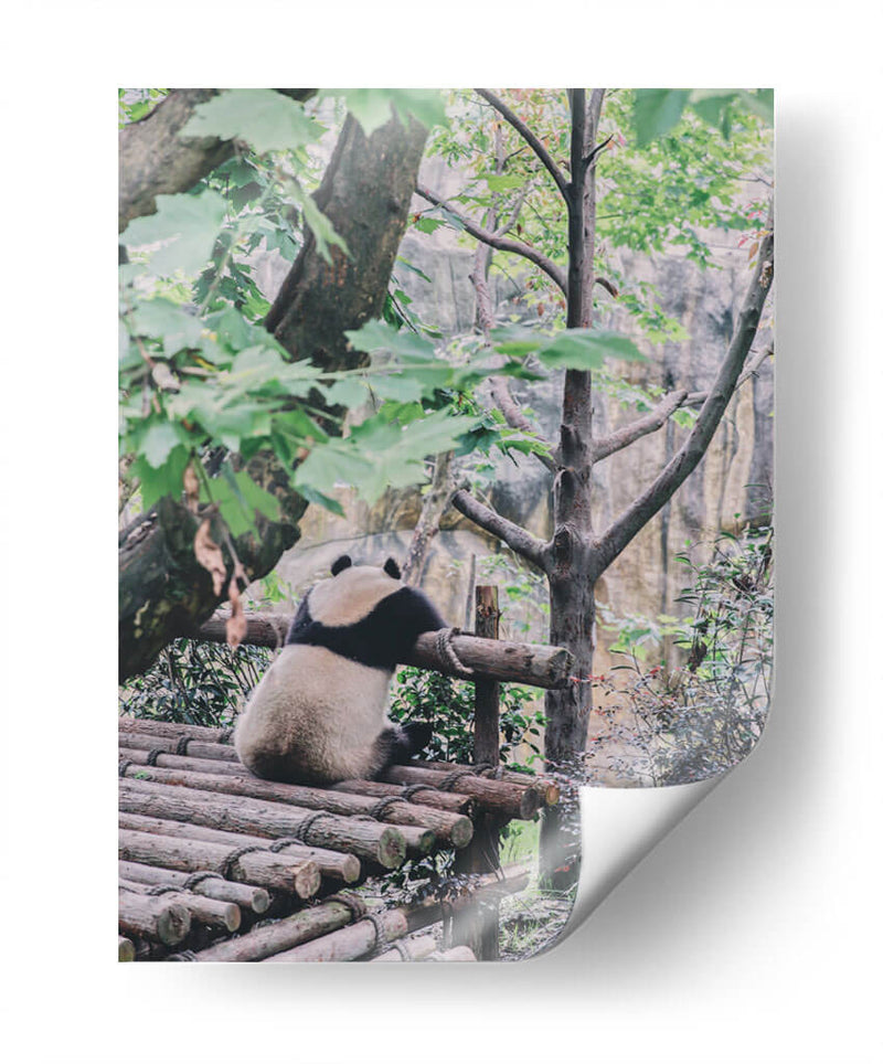 Un panda relajado | Cuadro decorativo de Canvas Lab