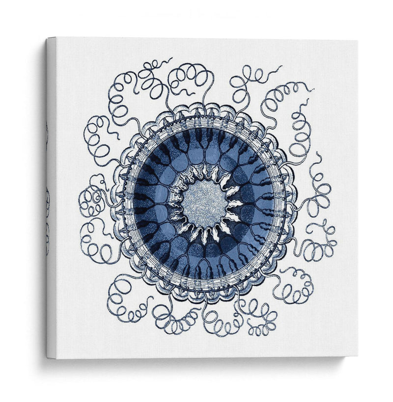 Navy Ocean Gems Iii - Vision Studio | Cuadro decorativo de Canvas Lab