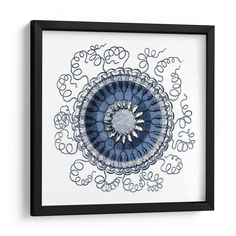 Navy Ocean Gems Iii - Vision Studio | Cuadro decorativo de Canvas Lab