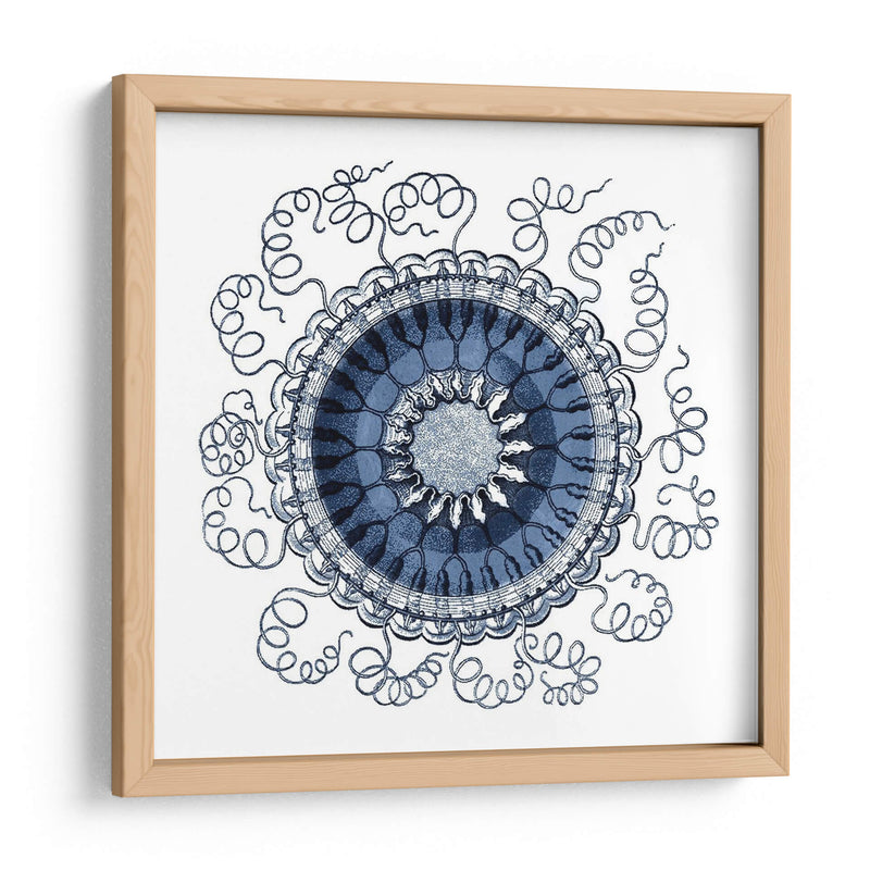 Navy Ocean Gems Iii - Vision Studio | Cuadro decorativo de Canvas Lab