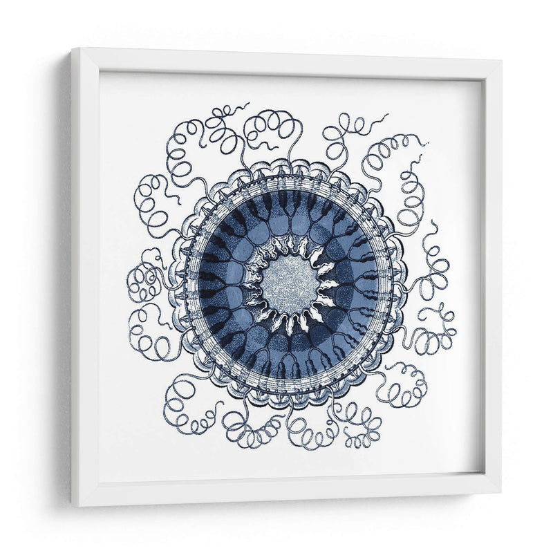 Navy Ocean Gems Iii - Vision Studio | Cuadro decorativo de Canvas Lab