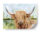 Highland Grazer I - Victoria Borges | Cuadro decorativo de Canvas Lab