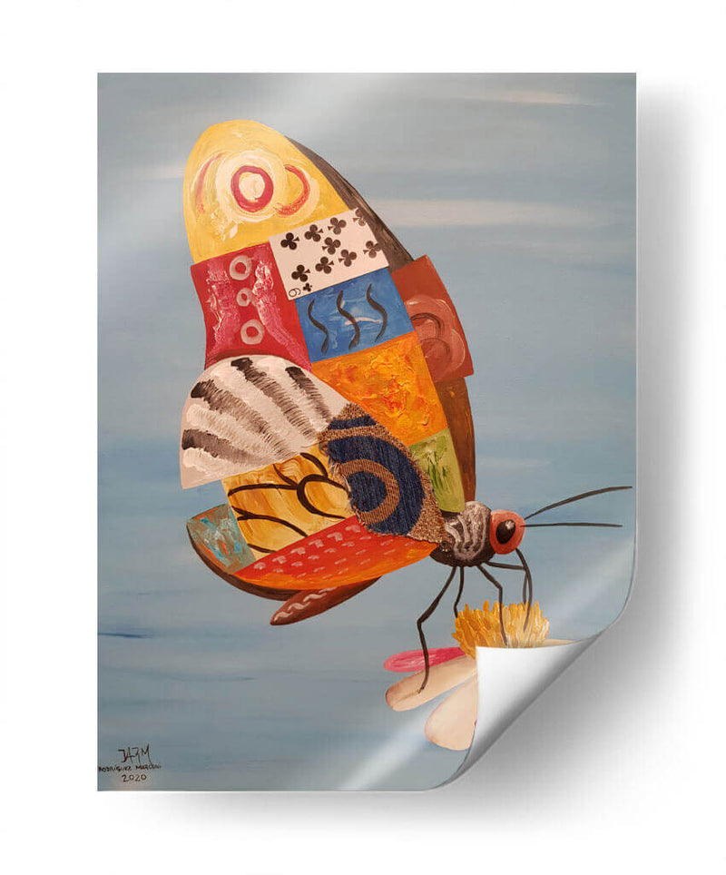 Mariposa I - Rodríguez Marconi | Cuadro decorativo de Canvas Lab