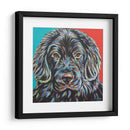 Buddy Canino I - Carolee Vitaletti | Cuadro decorativo de Canvas Lab